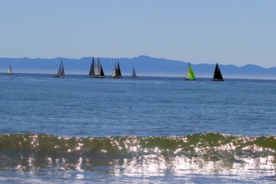 IMG_4143.jpg