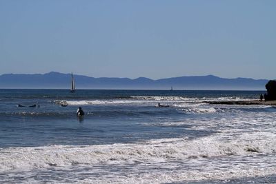 IMG_4164.jpg