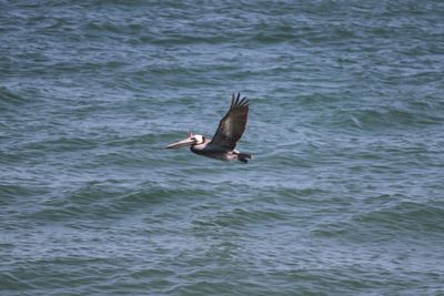 IMG_4178.jpg