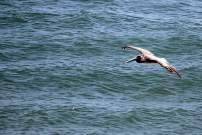 IMG_4180.jpg