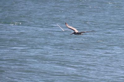 IMG_4186.jpg