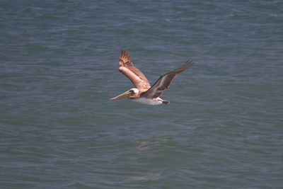 IMG_4189.jpg