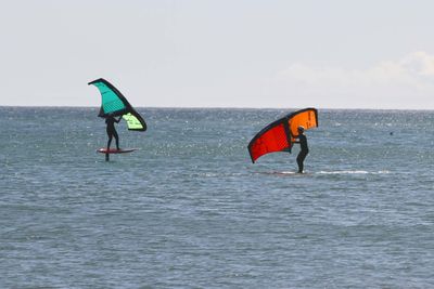 IMG_4233.jpg