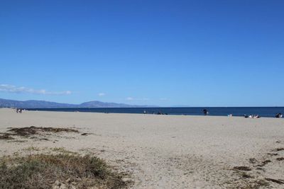 IMG_4237.jpg