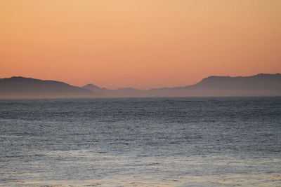 IMG_4282.jpg