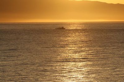 IMG_4291.jpg
