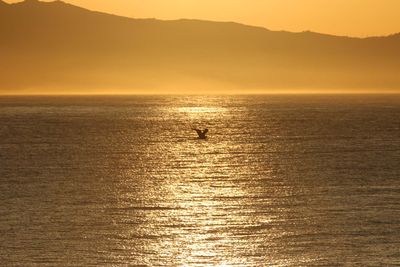 IMG_4298.jpg