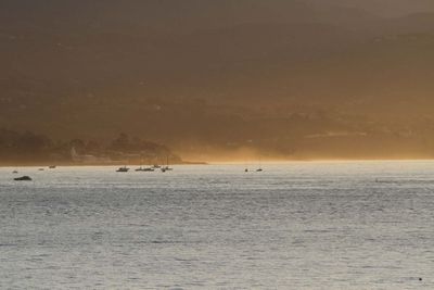 IMG_4300.jpg