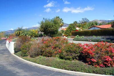 IMG_4303.jpg