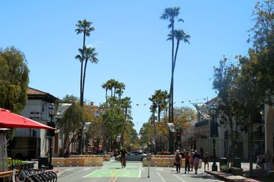 IMG_4310.jpg