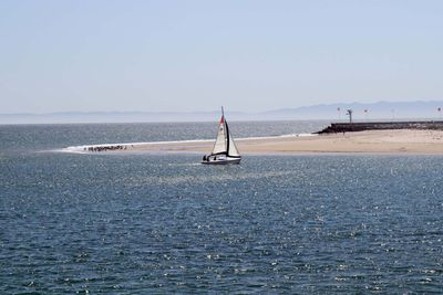IMG_4340.jpg