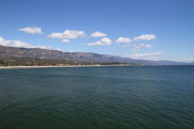 IMG_4345.jpg