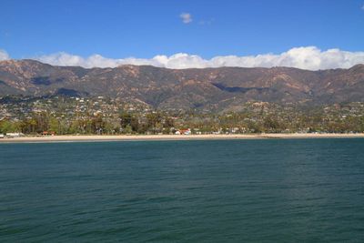IMG_4359.jpg