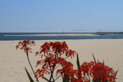 IMG_4363.jpg
