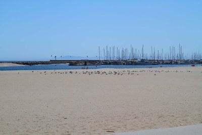 IMG_4364.jpg