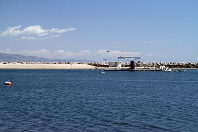 IMG_4368.jpg