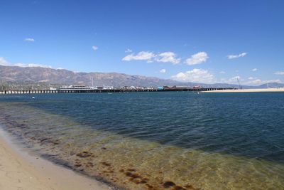 IMG_4370.jpg