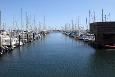 IMG_4377.jpg