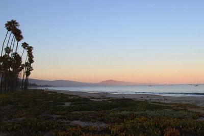 IMG_4565.jpg