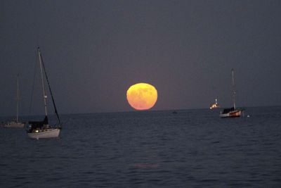 IMG_4584.jpg