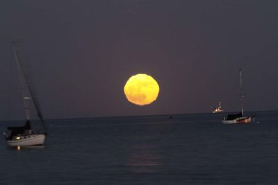 IMG_4585.jpg