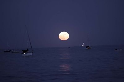 IMG_4586.jpg