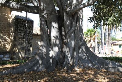 IMG_4632.jpg