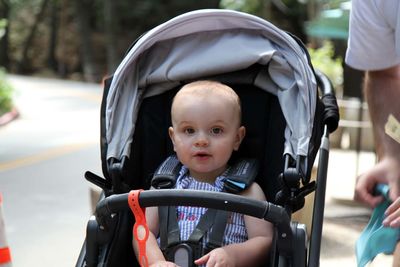 IMG_4649.jpg