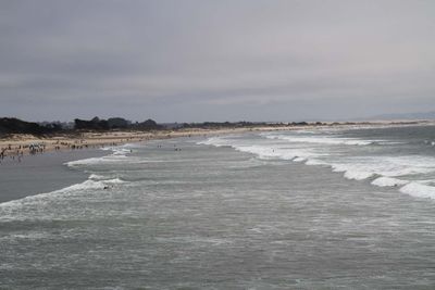 IMG_4701.jpg