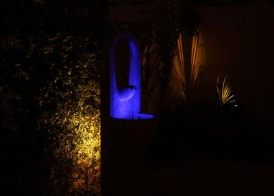 IMG_5008.jpg