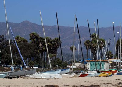 IMG_5037.jpg