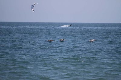 IMG_5092.jpg