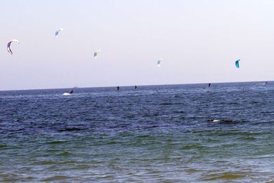 IMG_5101.jpg