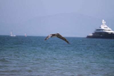 IMG_5142.jpg