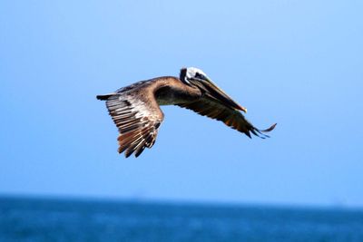 IMG_5148.jpg