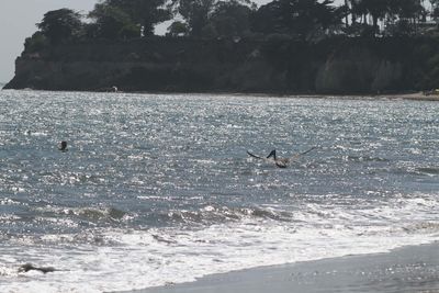 IMG_5150.jpg