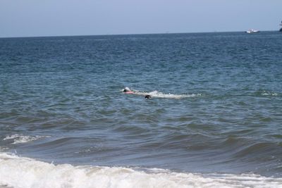 IMG_5153.jpg