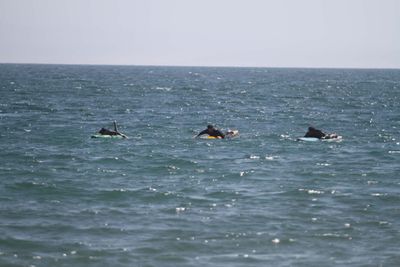 IMG_5164.jpg