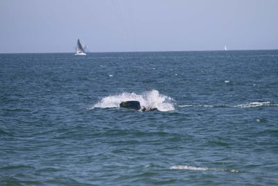 IMG_5214.jpg