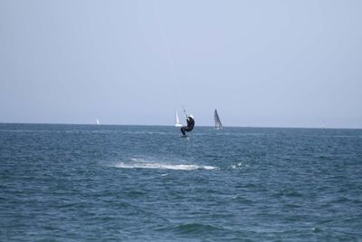 IMG_5217.jpg