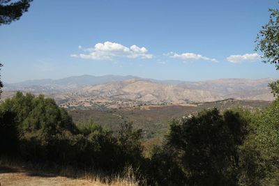 IMG_5266.jpg