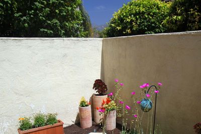 IMG_6307.jpg