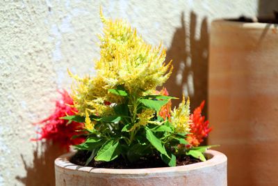 IMG_6317.jpg