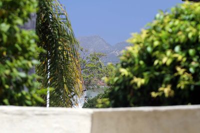 IMG_6326.jpg