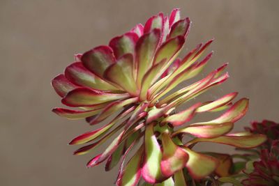IMG_6330.jpg