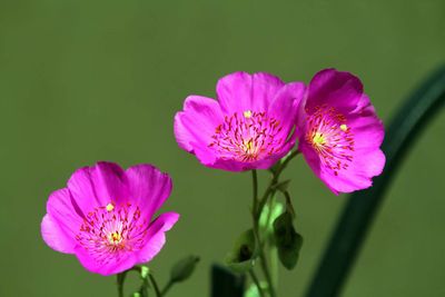 IMG_6342.jpg