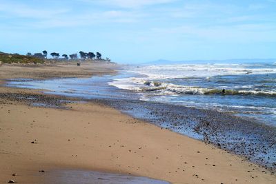 IMG_4246.jpg