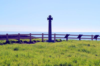 IMG_4264.jpg