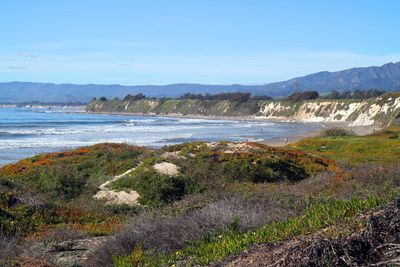IMG_4277.jpg