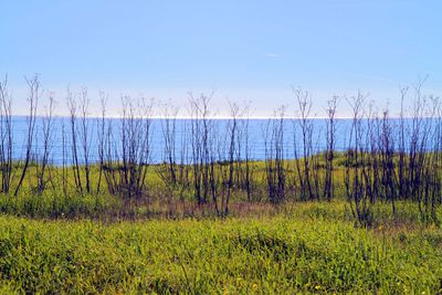 IMG_4284.jpg
